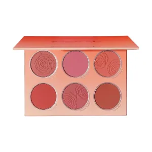 پالت رژگونه مات شیگلم مدل floral flush