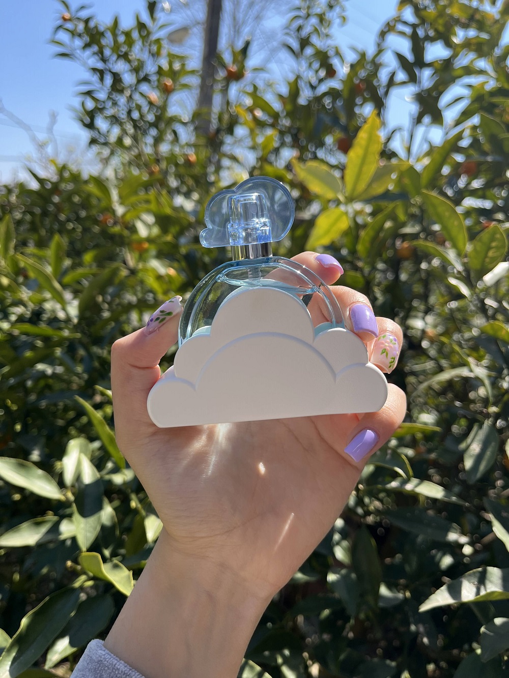 عطر ادکلن مینیاتوری آریانا گراند کلود زنانه برند کالکشن حجم 25 میلی لیتر