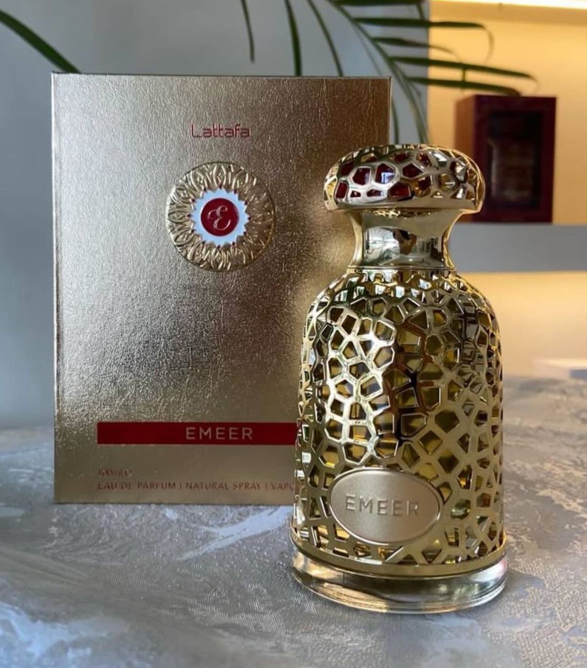 ادکلن مردانه امیر لطافه حجم 100 میلی لیتر