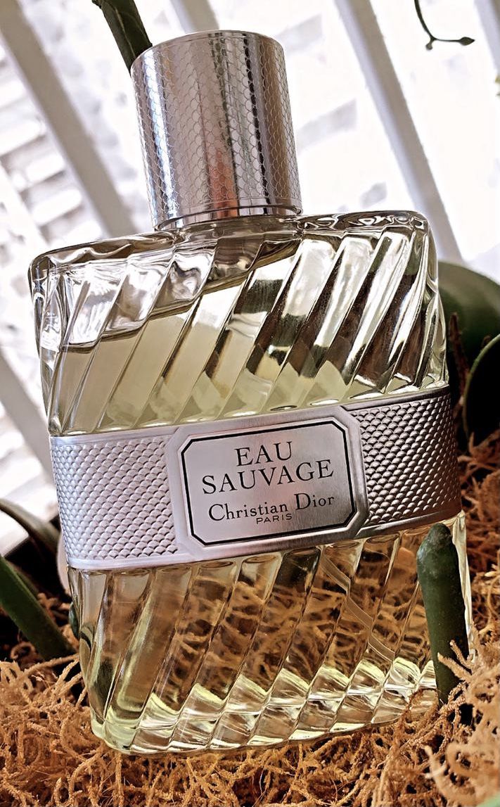 ادکلن مردانه دیور ائو ساوج ادوتویلت حجم 100 میلی لیتر