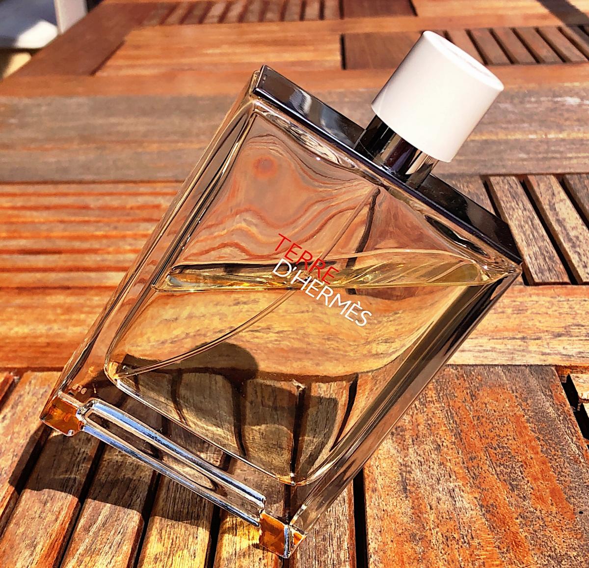 ادکلن مردانه هرمس ترری دی ارمس ادو ترس فرش ادوتویلت حجم 100 میلی لیتر