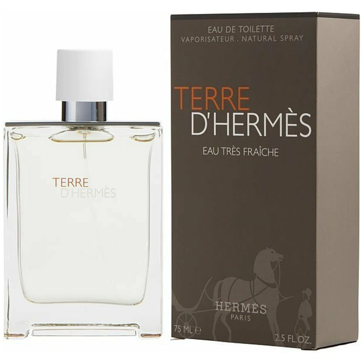 ادکلن مردانه هرمس ترری دی ارمس ادو ترس فرش ادوتویلت حجم 100 میلی لیتر