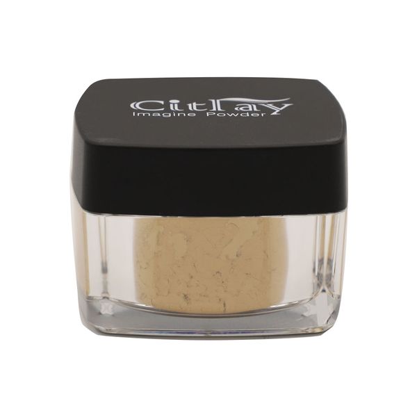 پودرفیکس مات 401 سیترای