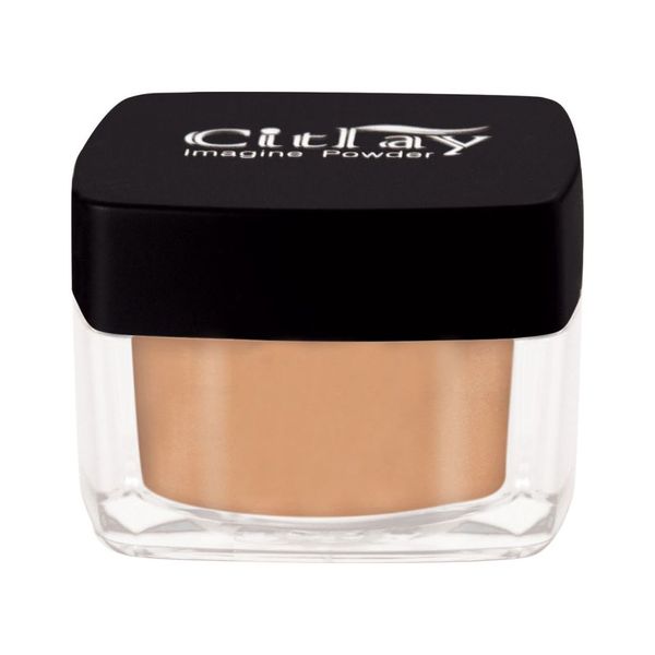 پودرفیکس پودری و براق شماره 304 سیترای